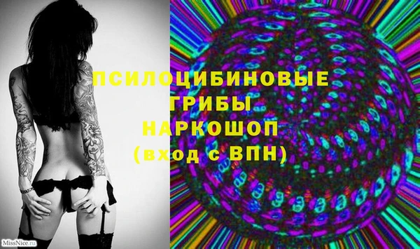дурь Инта