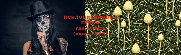 дмт Балахна
